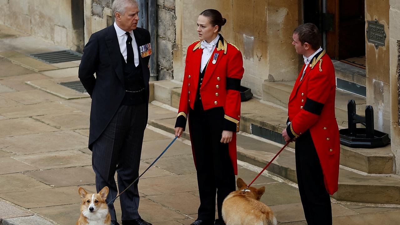 Prince Andrew with royal corgis as they await the cortege ahead of the Committal Service for Queen Elizabeth II held at St George’s Chapel on September 19, 2022 in Windsor, England.