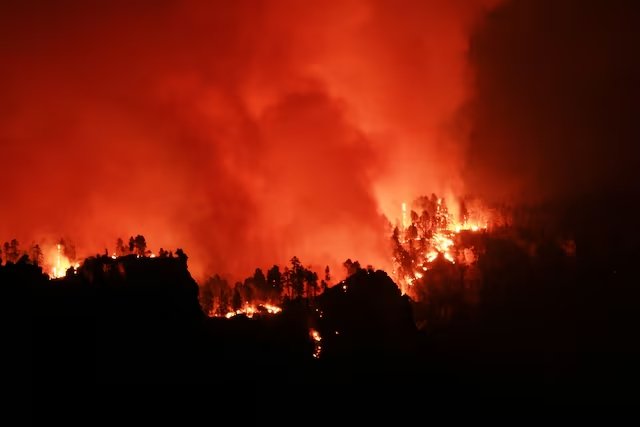 As US wildfires rage, firefighters clean toilets after Trump staff cuts, critics say