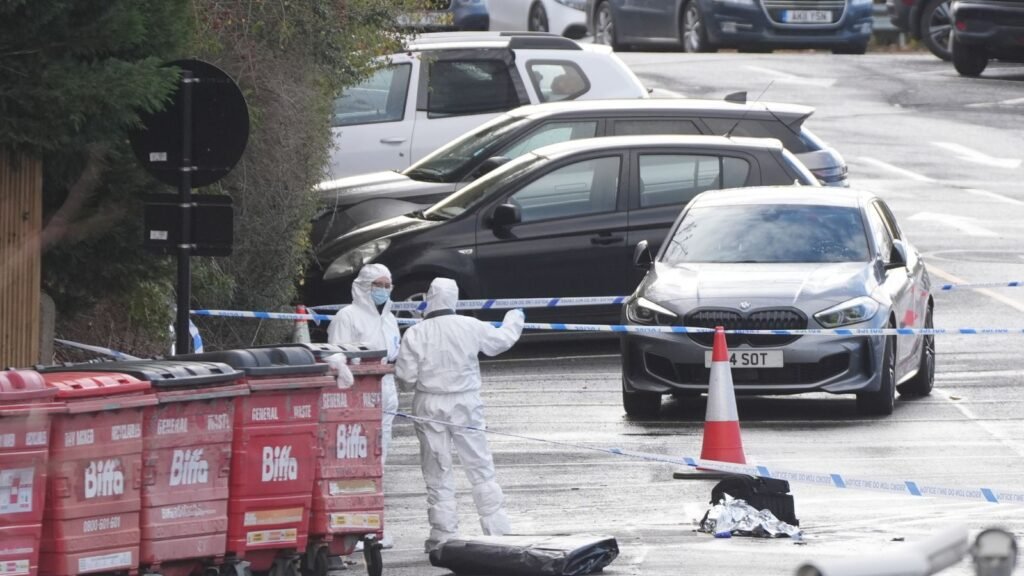 Two people in life-threatening condition after train mass stabbing as police reveal suspect details