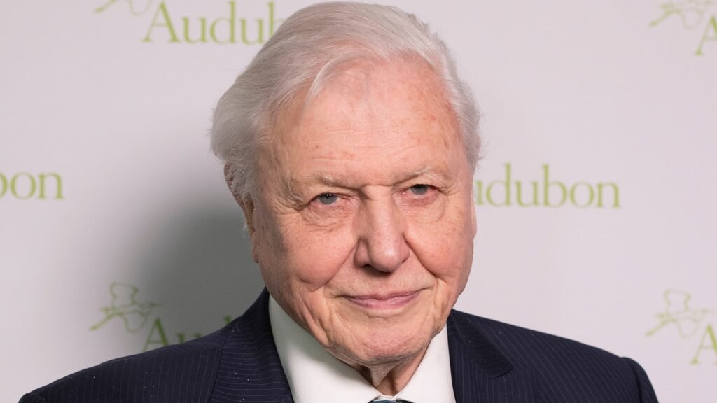 David Attenborough turns 100, a century of bringing nature’s wonders to the world