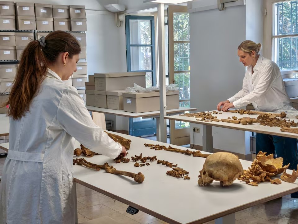 Genome study reveals what happened after the Roman Empire fell